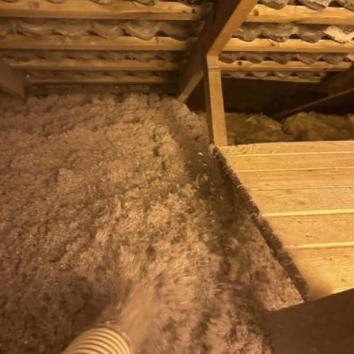 Papiruld på loftet