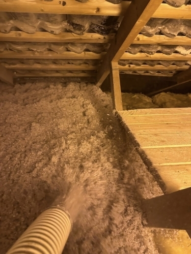 Papiruld på loftet 